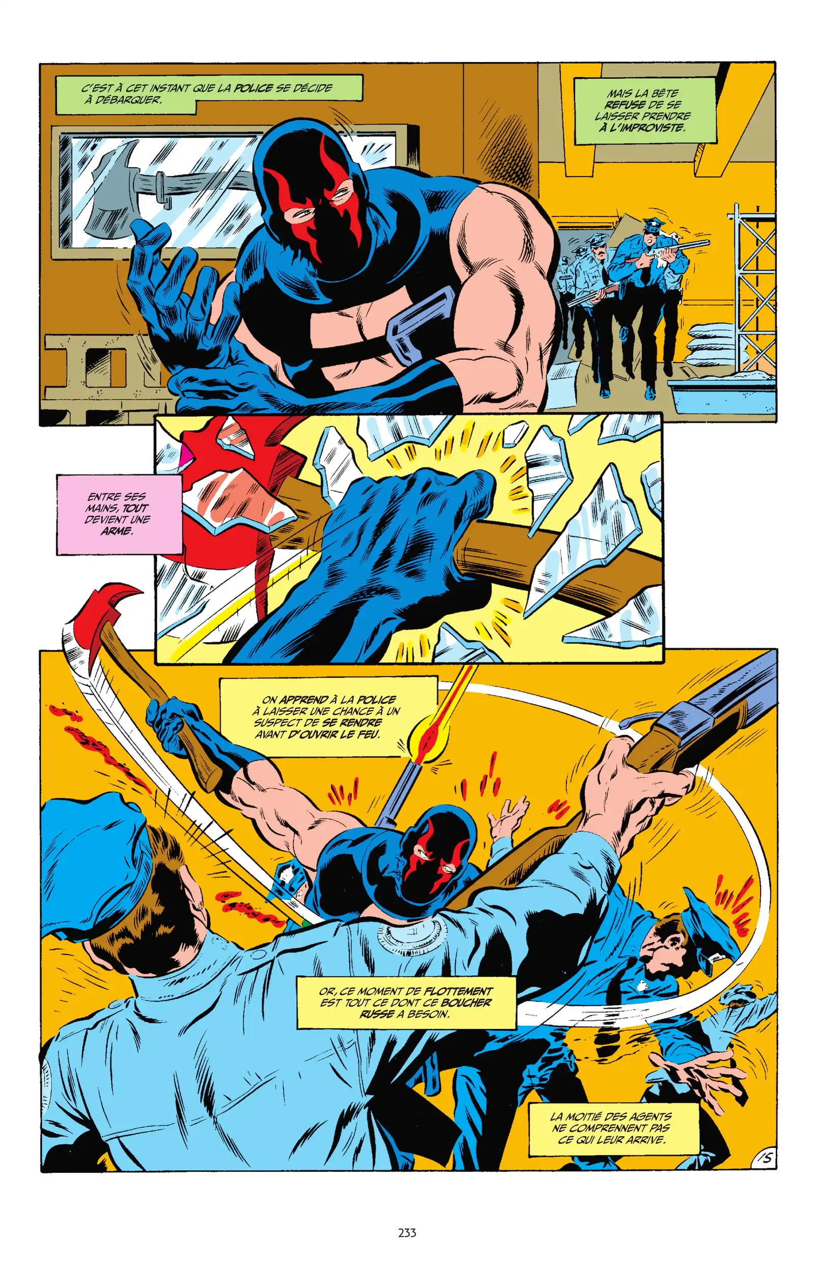 Page 231