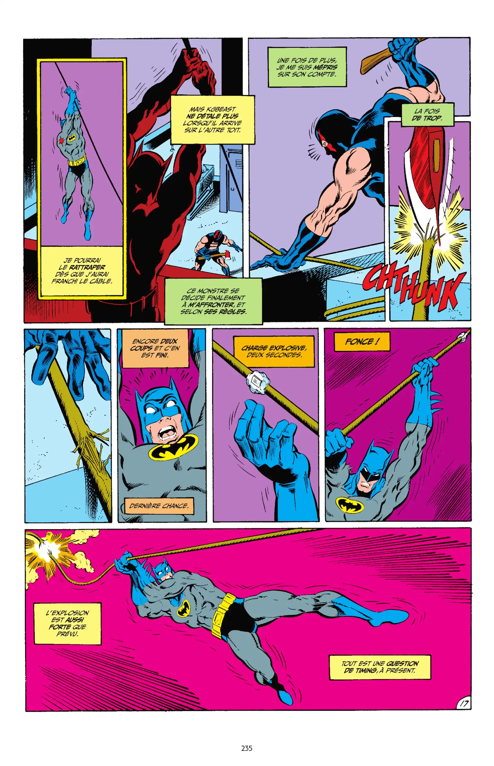 Page 233