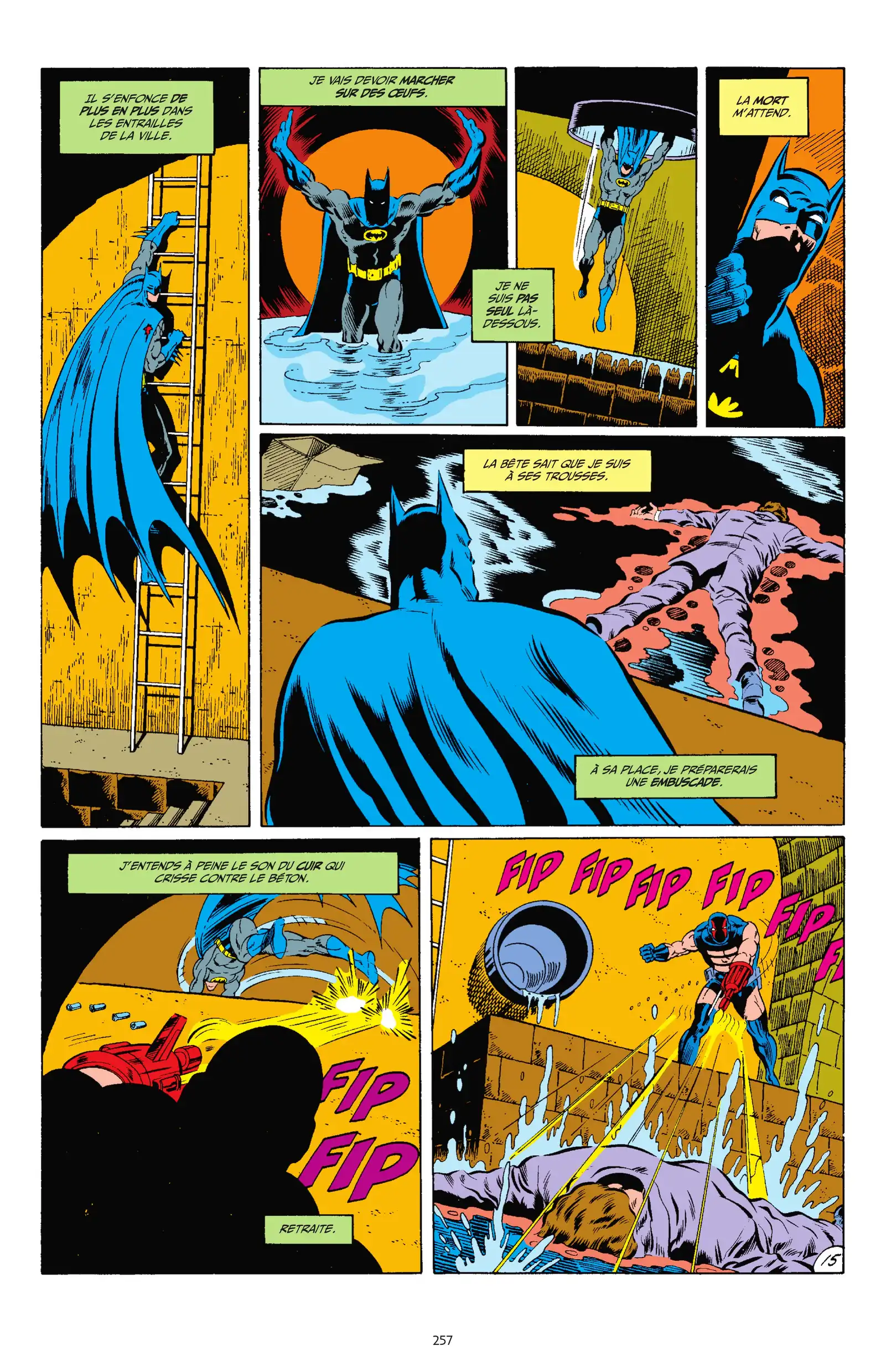 Page 255