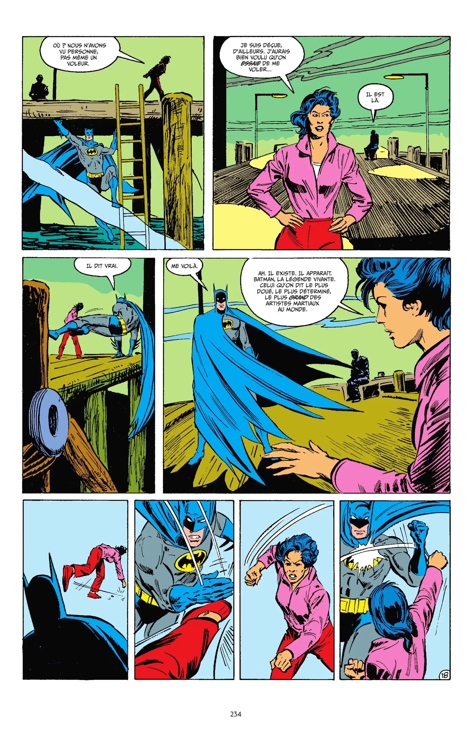 Page 233