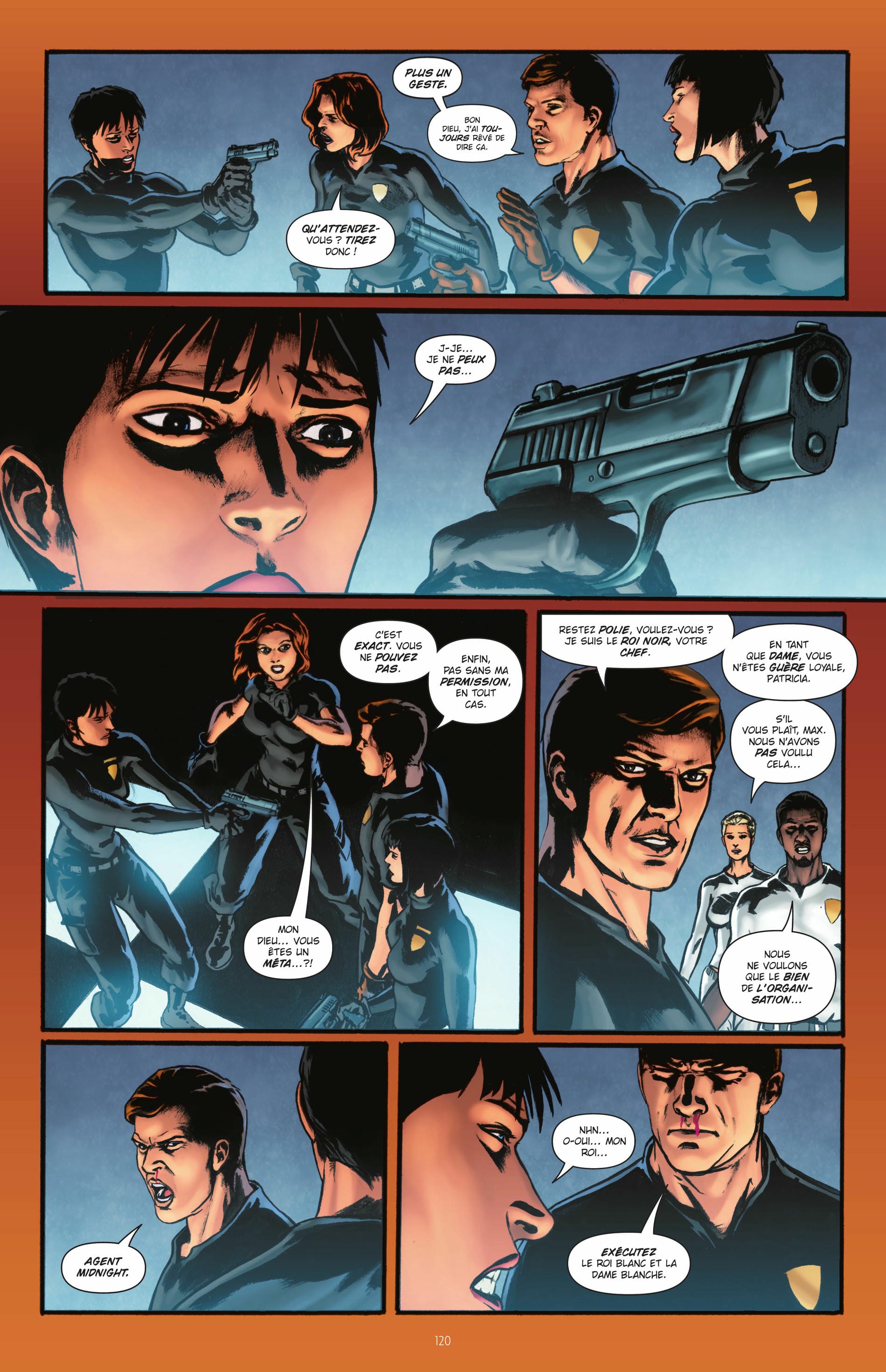 Page 113