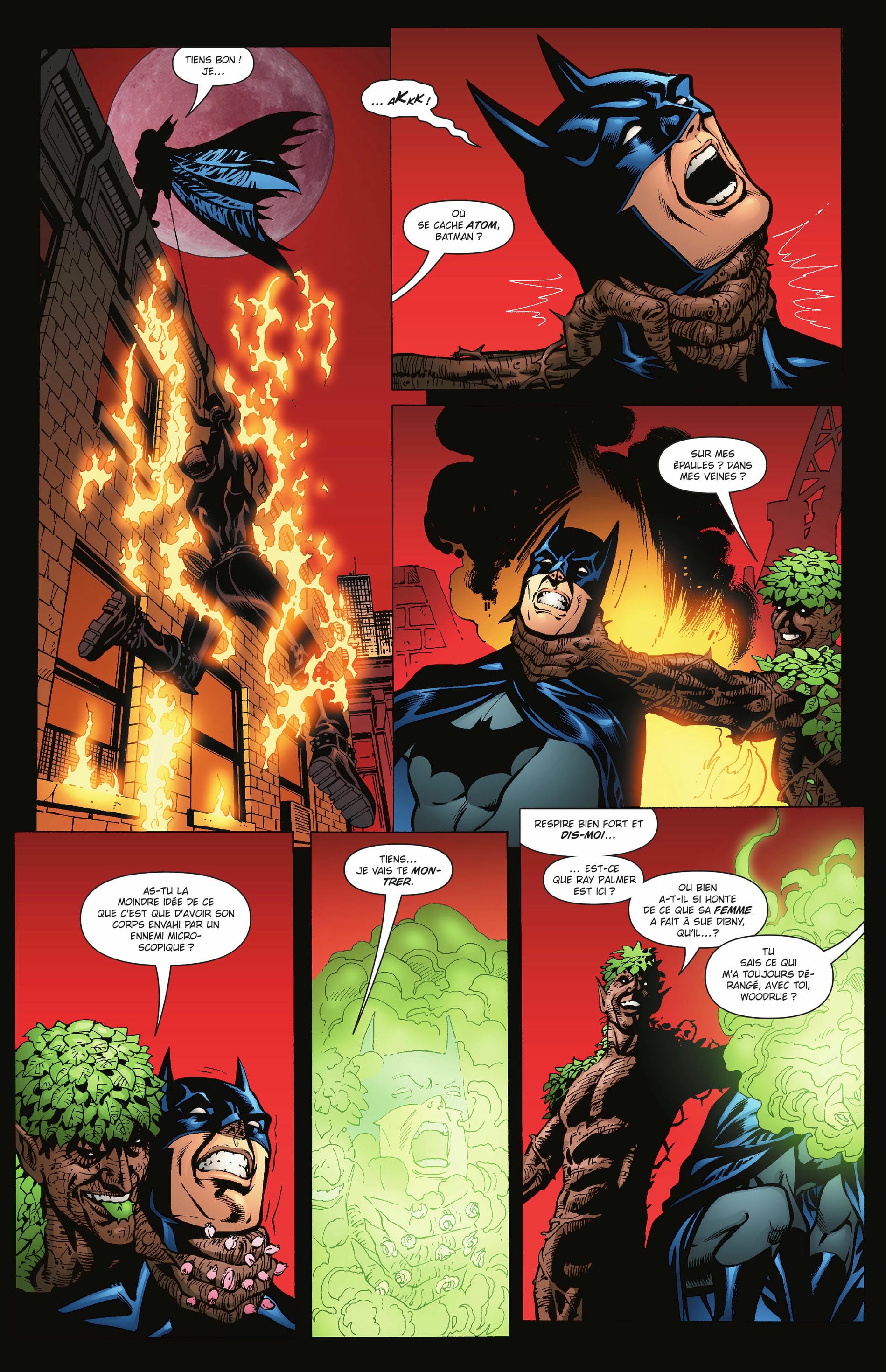 Page 231